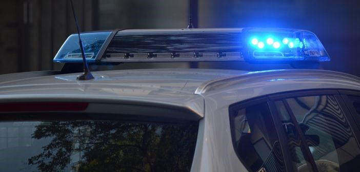 Psi ubijani radi zabave i zarade- privedene 84 osobe